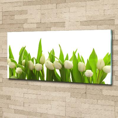 Schilderij op glas Witte tulpen