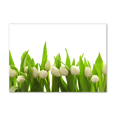 Foto obraz szkło hartowane Białe tulipany