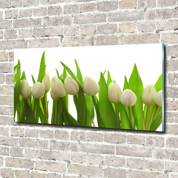 Schilderij glas Witte tulpen