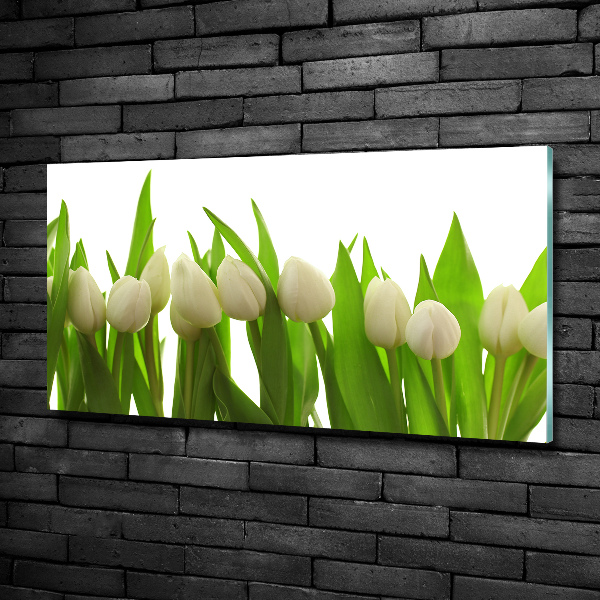 Schilderij glas Witte tulpen