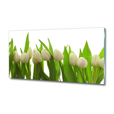Schilderij glas Witte tulpen