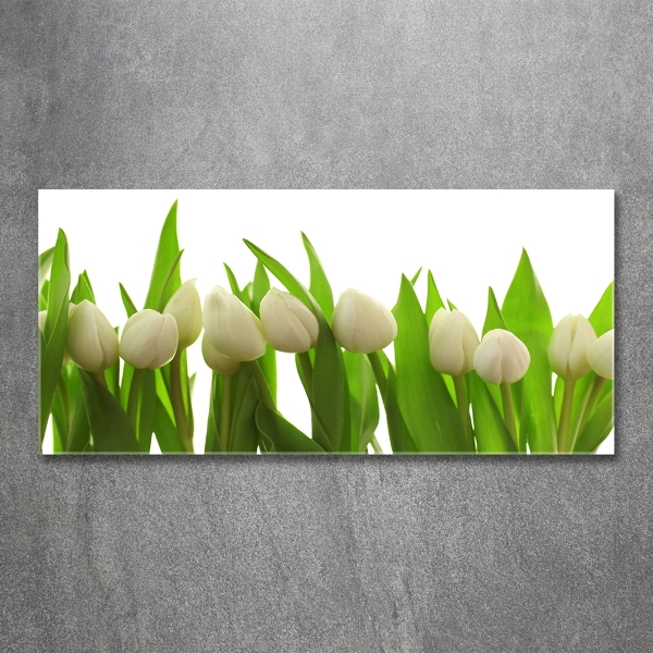 Schilderij glas Witte tulpen