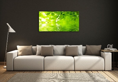 Glazen schilderij Groene bladeren