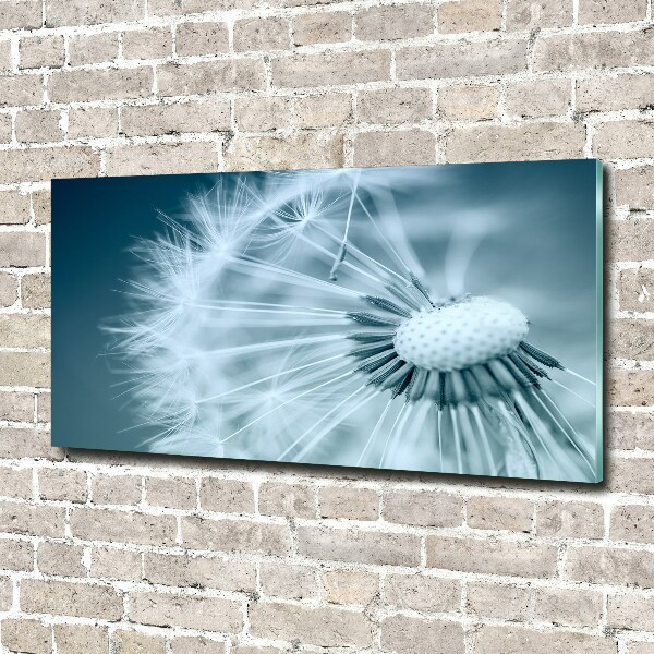 Foto schilderij op glas Paardebloem