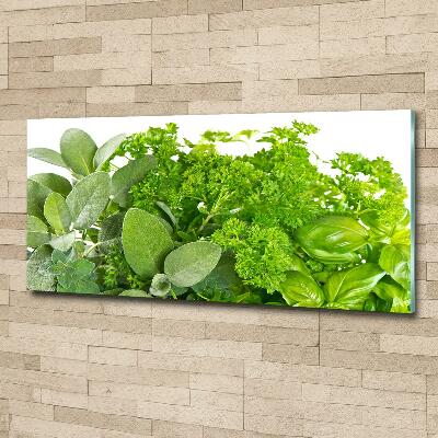 Schilderij op glas Kruiden