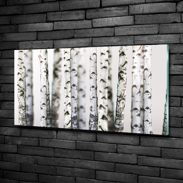 Schilderij glas Berkenstammen