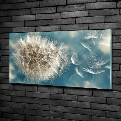 Schilderij op glas Paardenbloemen