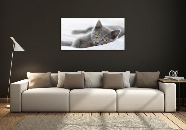 Foto schilderij op glas Grijze kat