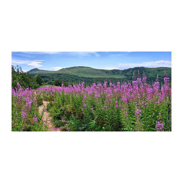 Foto schilderij op glas Groene heuvels