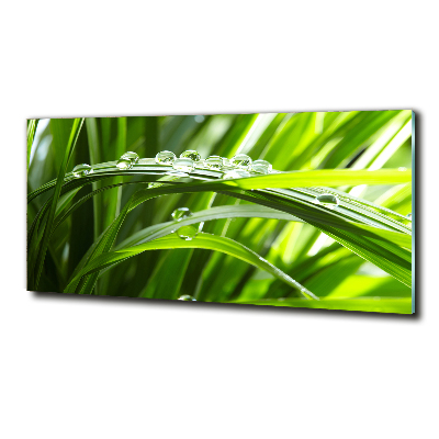Schilderij glas Druppels op het gras