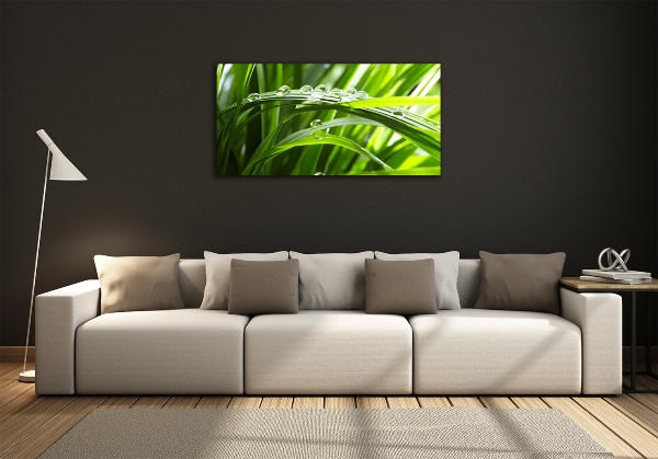 Schilderij glas Druppels op het gras