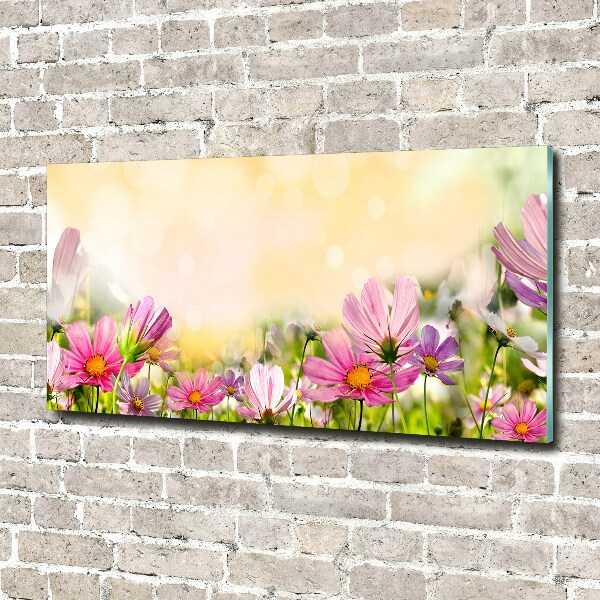 Glazen schilderij Klaprozen