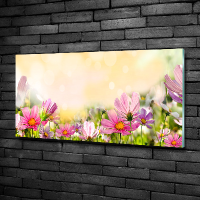 Glazen schilderij Klaprozen