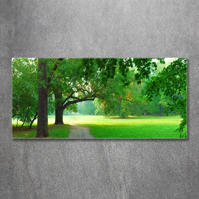 Schilderij glas Park in de herfst