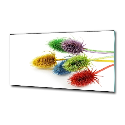 Foto schilderij op glas Distel