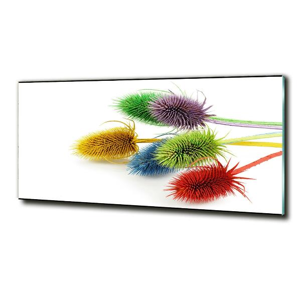 Foto schilderij op glas Distel