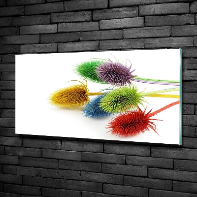 Foto schilderij op glas Distel