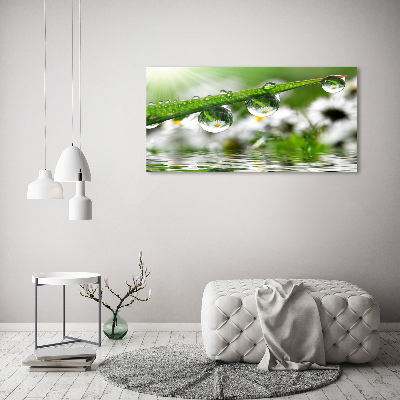 Schilderij op glas Druppels op het gras