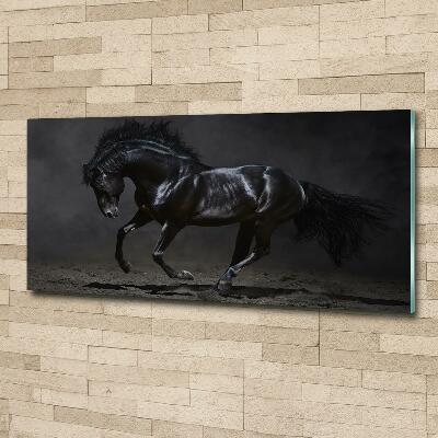Foto-obraz szkło hartowane Czarny koń