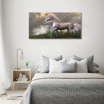 Schilderij glas Grijze eenhoorn