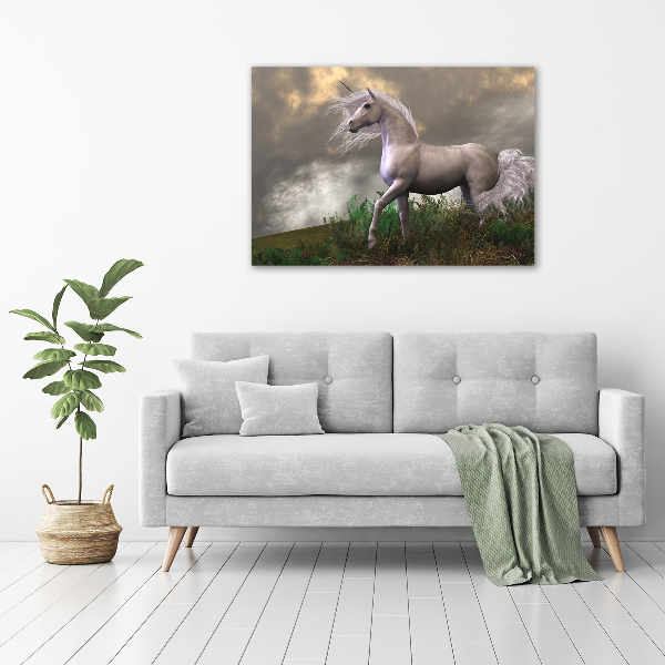 Schilderij glas Grijze eenhoorn