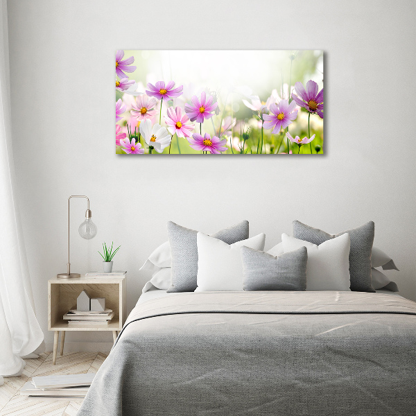 Schilderij op glas Bloemen in de weide