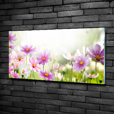 Schilderij op glas Bloemen in de weide