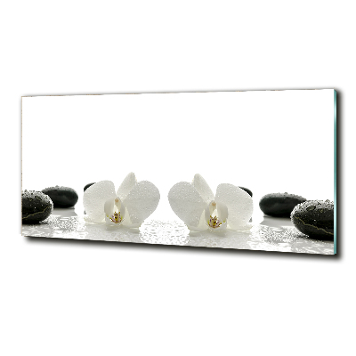 Schilderij glas Orchidee