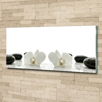 Schilderij glas Orchidee