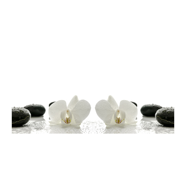 Foto obraz szkło hartowane Orchidea