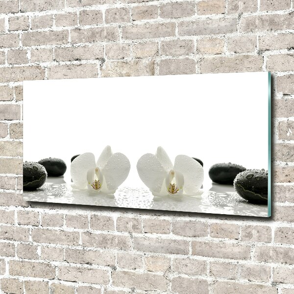 Schilderij glas Orchidee