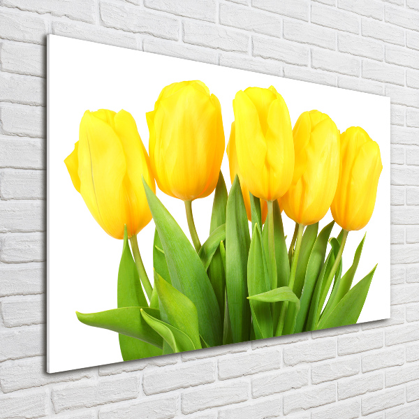 Schilderij op glas Gele tulpen