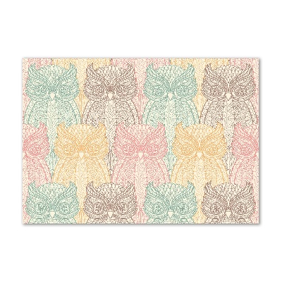 Foto-obraz zdjęcie szkło hartowane Sowy