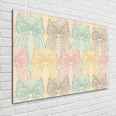 Foto-obraz zdjęcie szkło hartowane Sowy