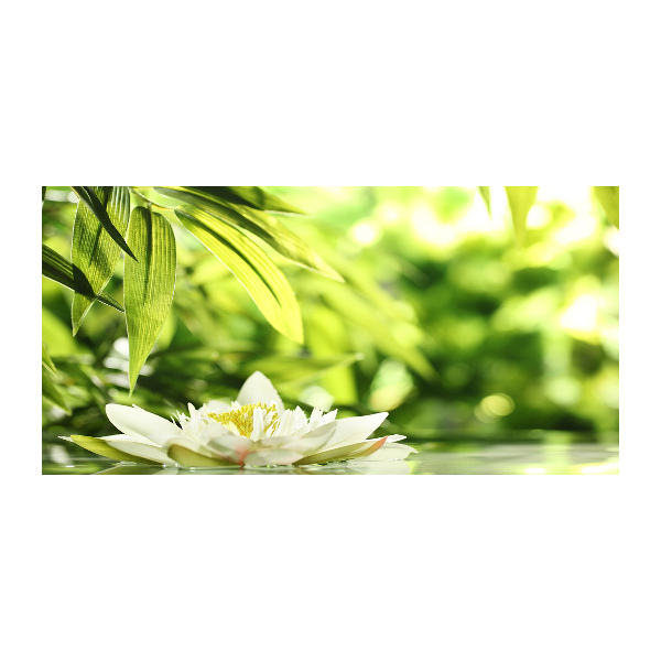 Glazen schilderij Waterlelie