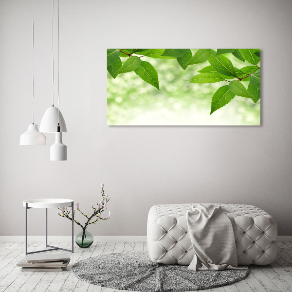 Foto schilderij op glas Groene bladeren