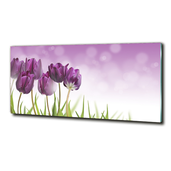 Foto schilderij op glas Paarse tulpen