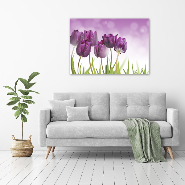 Foto schilderij op glas Paarse tulpen
