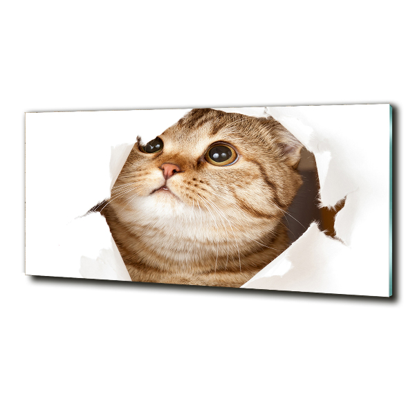 Glazen schilderij Kat