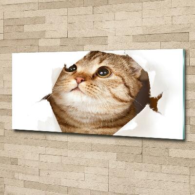 Glazen schilderij Kat