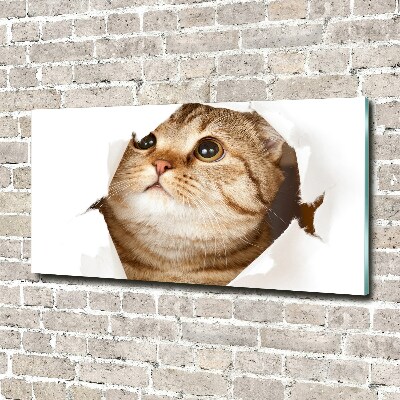 Glazen schilderij Kat