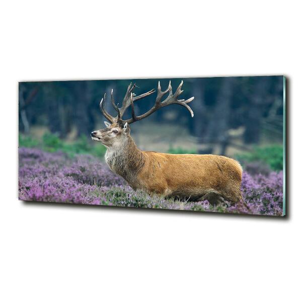 Schilderij op glas Hert tussen de lavendel