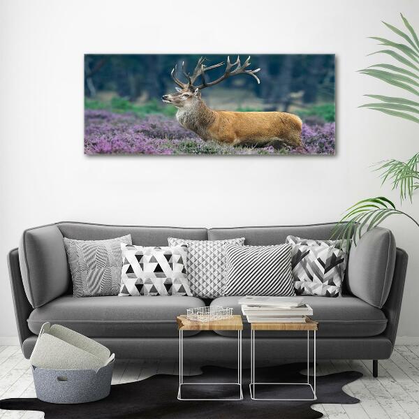 Schilderij op glas Hert tussen de lavendel