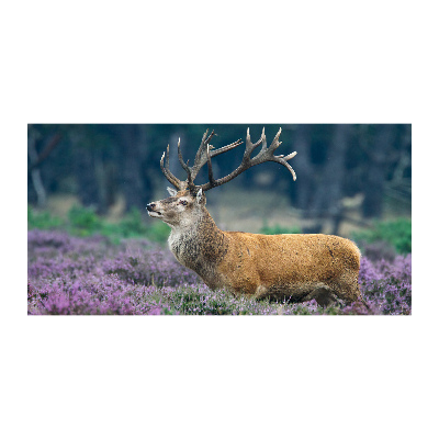 Schilderij op glas Hert tussen de lavendel