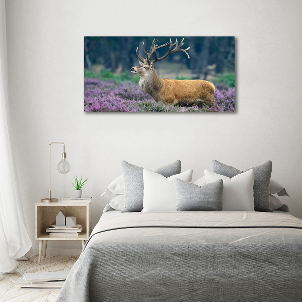 Schilderij op glas Hert tussen de lavendel