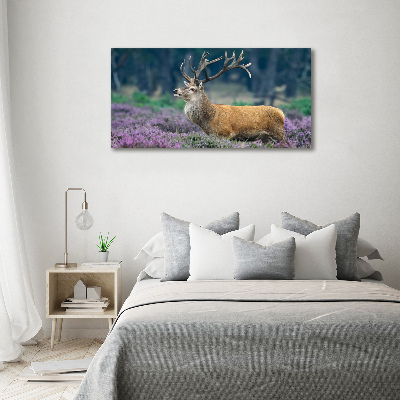 Schilderij op glas Hert tussen de lavendel