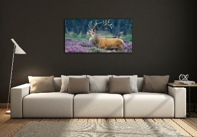 Schilderij op glas Hert tussen de lavendel