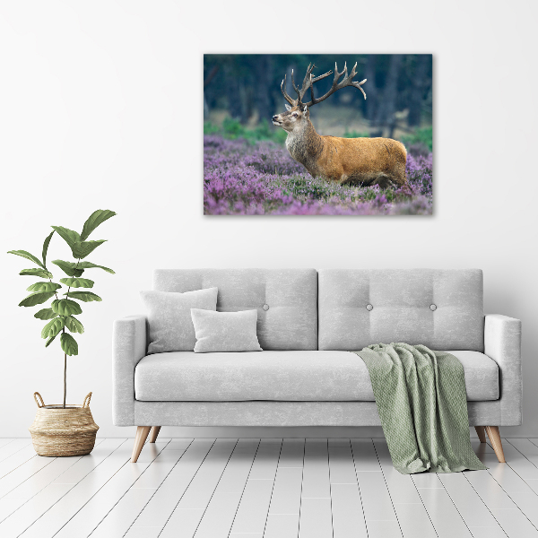 Schilderij op glas Hert tussen de lavendel