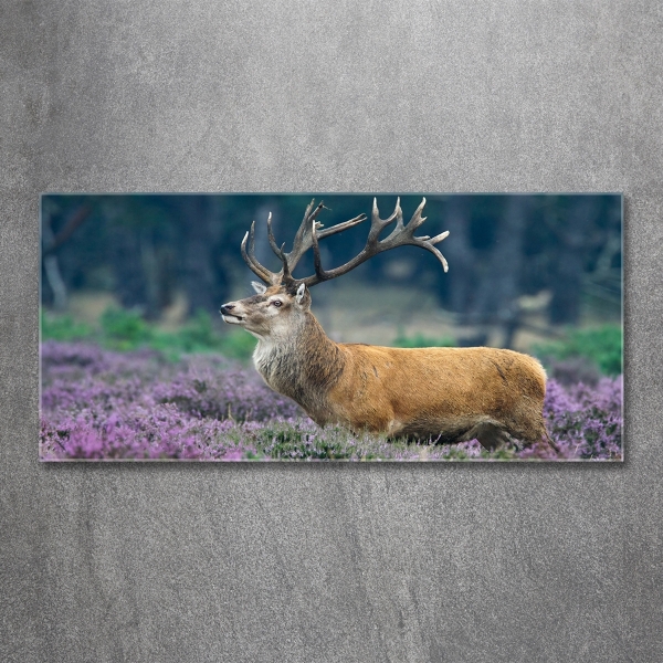 Schilderij op glas Hert tussen de lavendel