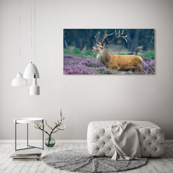 Schilderij op glas Hert tussen de lavendel